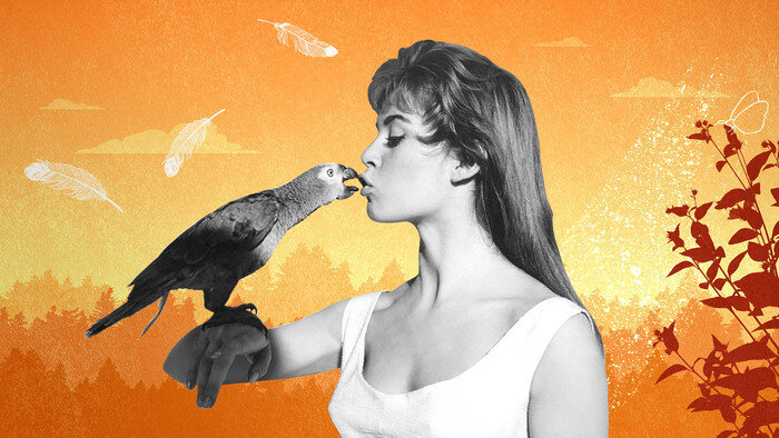 Brigitte Bardot : le serment fait aux animaux